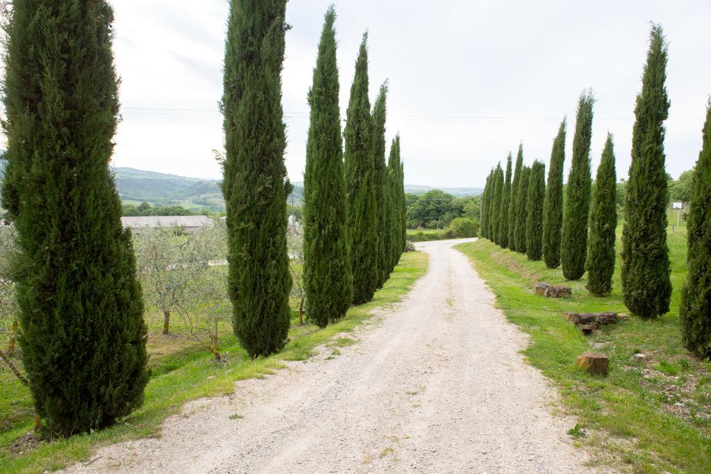 Podere Il Tigliolo Castiglione d'Orcia Bagian luar foto