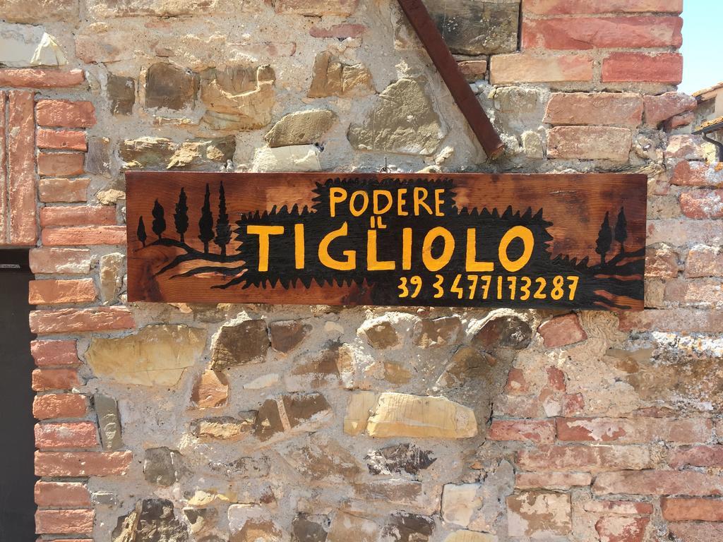 Podere Il Tigliolo Castiglione d'Orcia Bagian luar foto