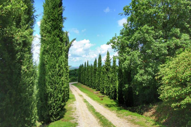 Podere Il Tigliolo Castiglione d'Orcia Bagian luar foto